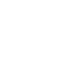icons